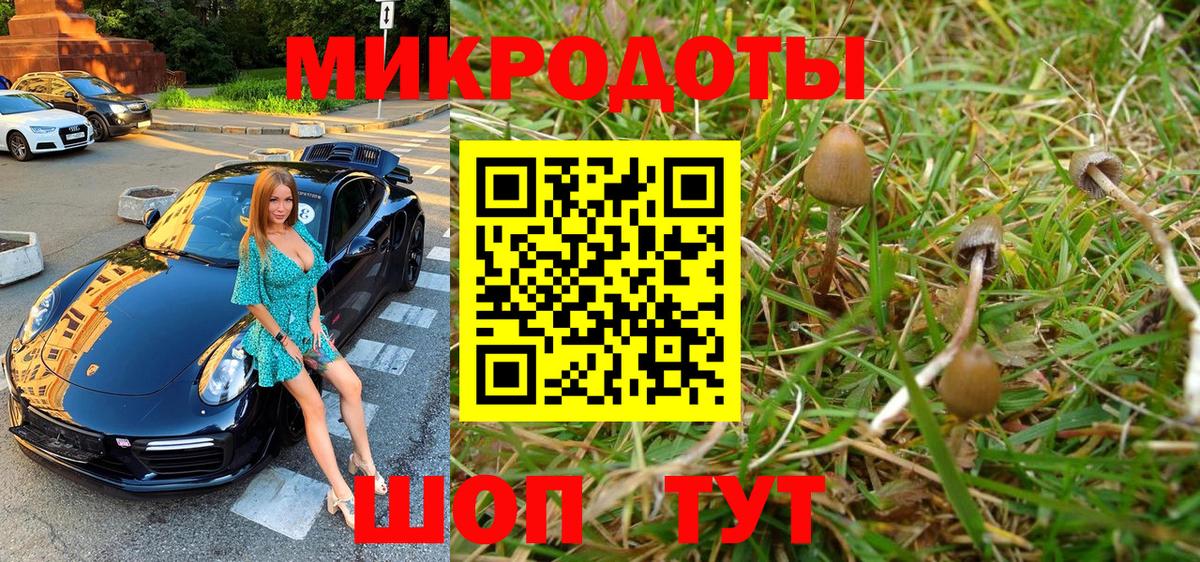 Чехов  Галлюциногенные грибы Psilocybine cubensis  Вход с VPN  Псилоцибиновые грибы Psilocybine cubensis 