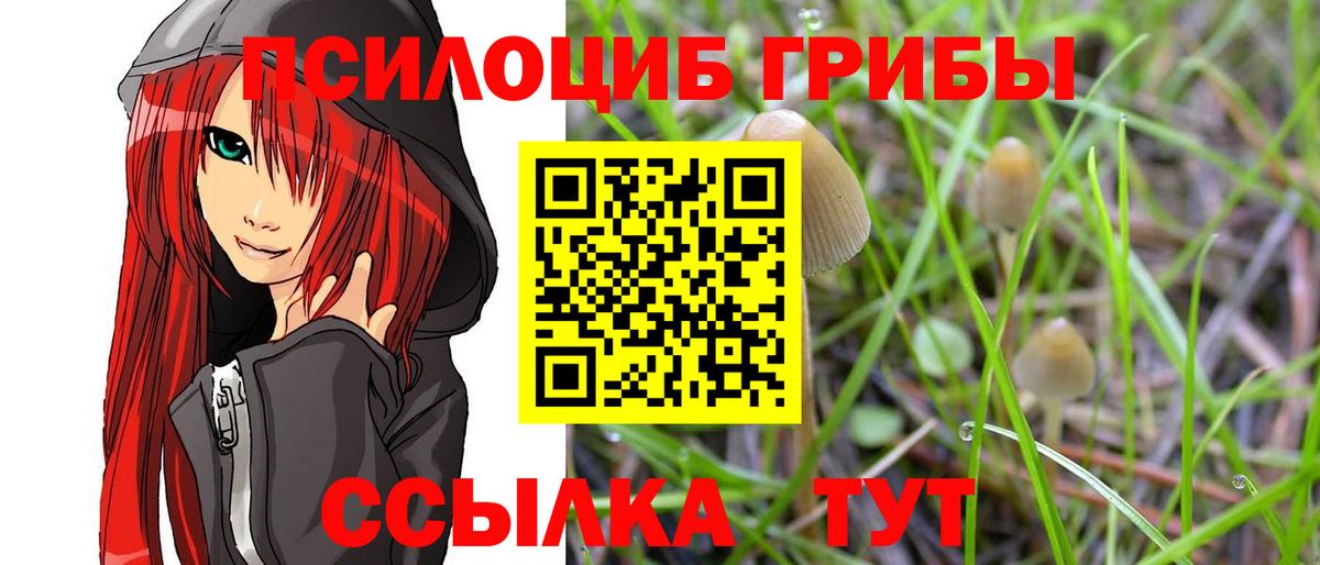 Галлюциногенные грибы прущие грибы Чехов
