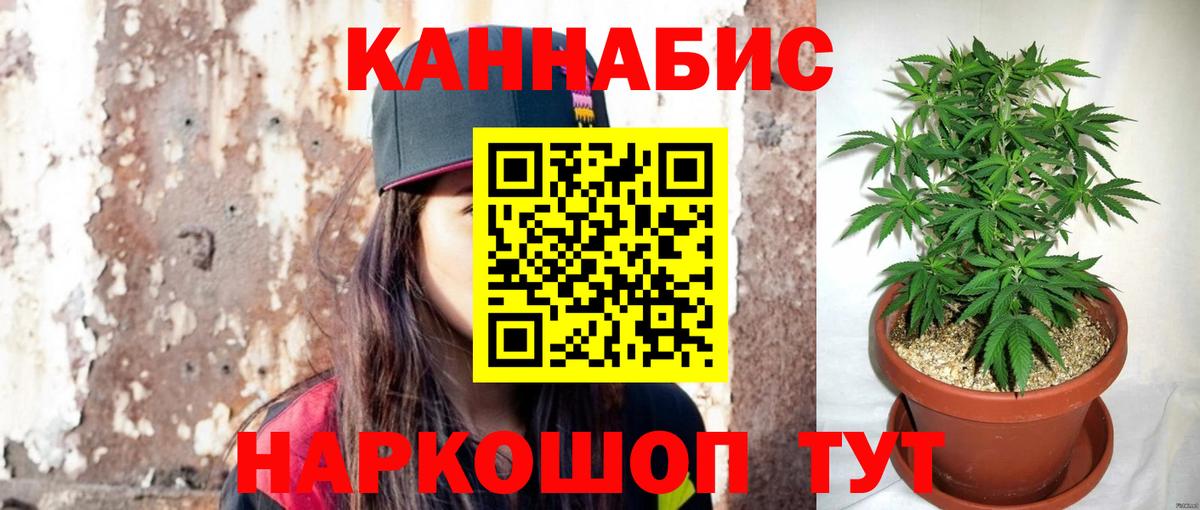 МАРИХУАНА ГИДРОПОН Чехов